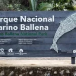 the-main-entrance-of-the-national-park-marino-ballena-1-454x340