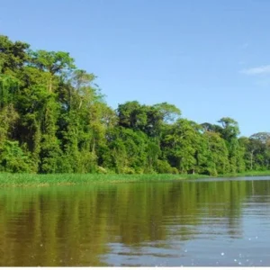 Sign explaining importance of Térraba mangrove preservation