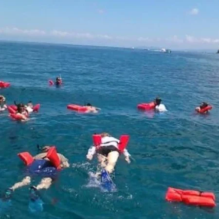 A group of snorkelers swim just below the surface, admiring the diverse marine life within the vibrant coral reef ecosystems of Caño Island.