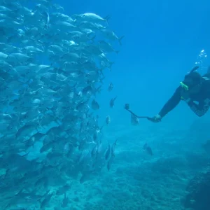 Snorkeling-isla-del-cano.webp