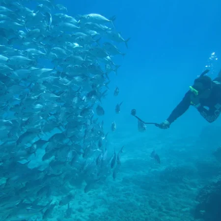 Snorkeling-isla-del-cano.webp