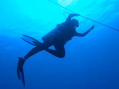 ballena tour diving tour