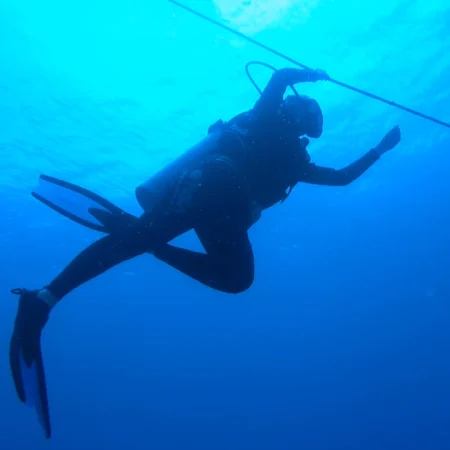 ballena tour diving tour
