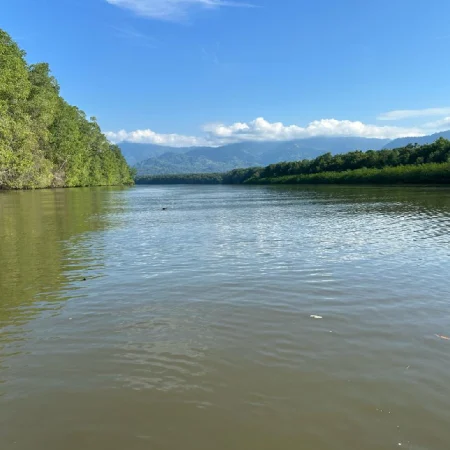 mangrove terraba sierpe ballena tour costa rica