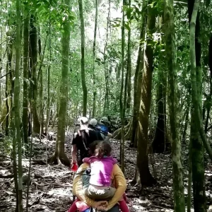 A group of hikers makes their way through the lush and scenic Marcos Reyes Trail in San Pedrillo, surrounded by vibrant greenery.