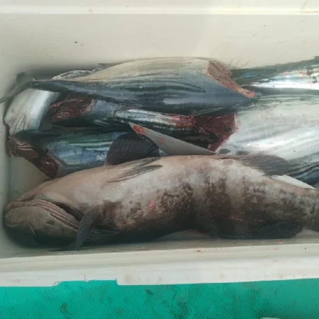 pesca deportiva hielera llena de peces