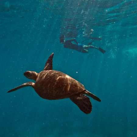 snorkeling-trip-costa-rica-uvita