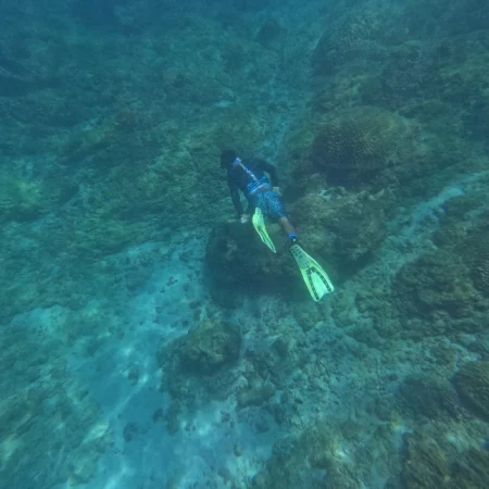 snorkeling-trip-uvita-cano