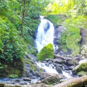 A stunning waterfall cascades down the rocky cliffs at San Pedrillo, creating a serene and picturesque natural scene.