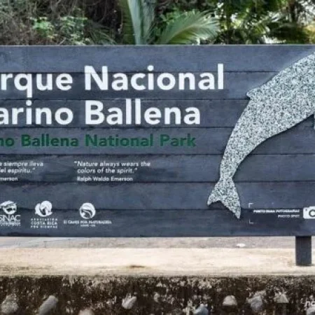 the-main-entrance-of-the-national-park-marino-ballena-1-454x340